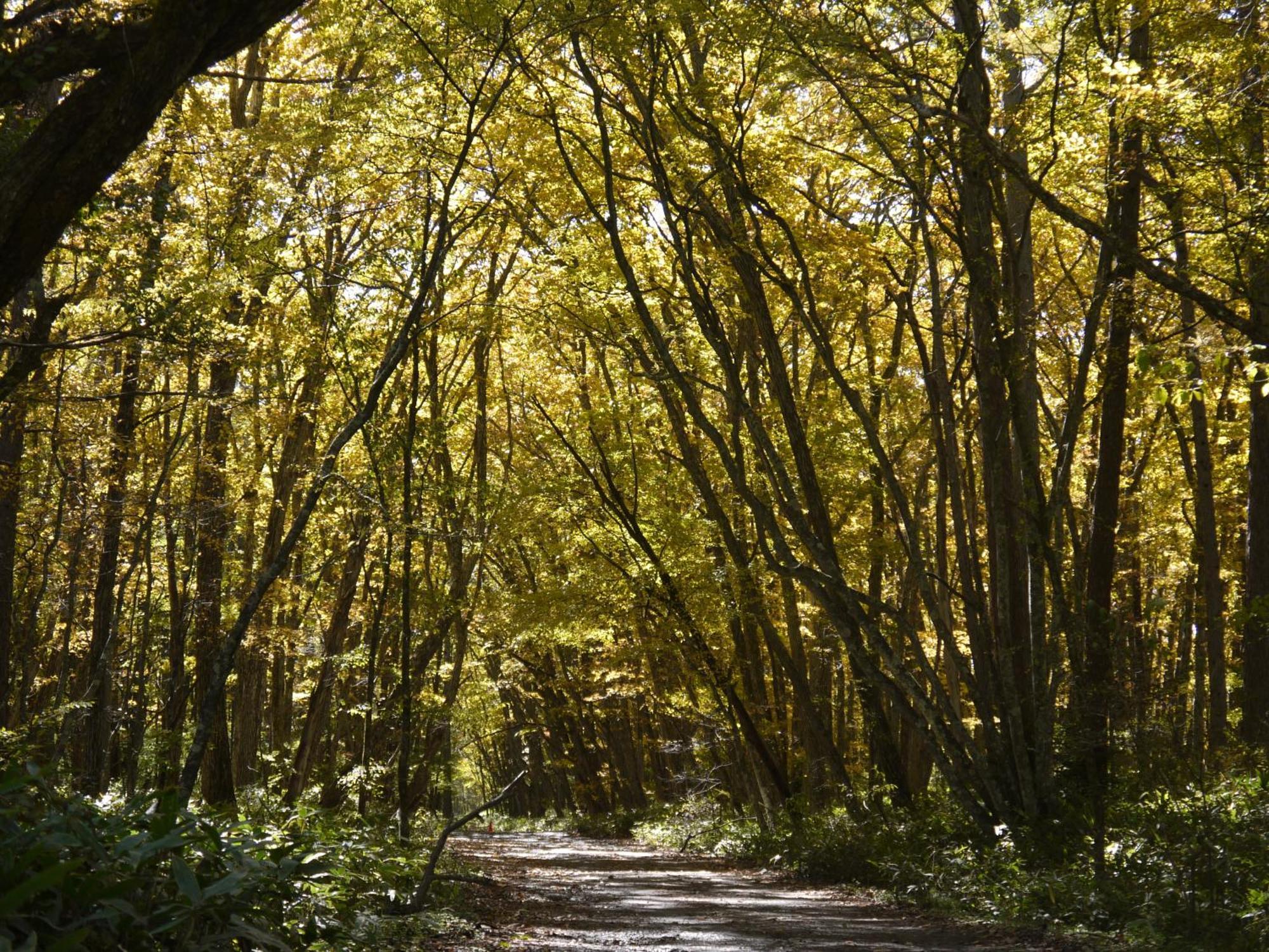 ホテル 休暇村 日光湯元 エクステリア 写真